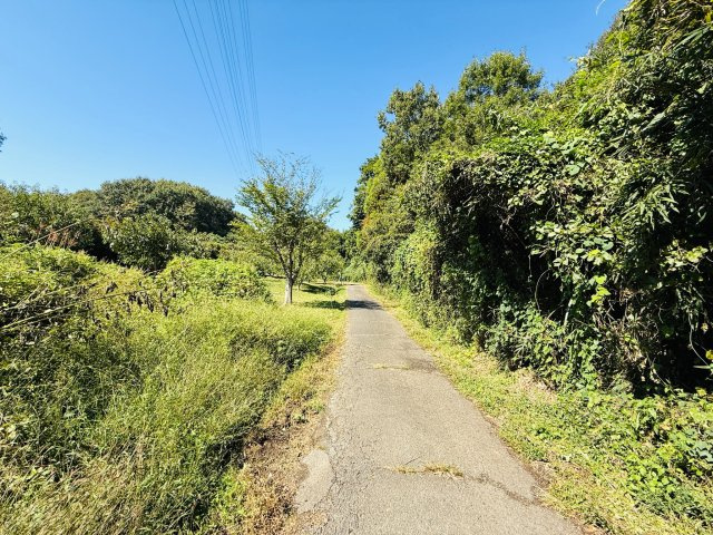 東松山市葛袋　土地957坪の前面道路含む現地写真|南側約1.8ｍ公道に約45ｍ接道