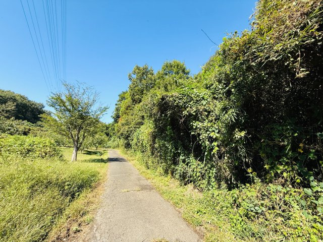 東松山市葛袋　土地957坪の前面道路含む現地写真|南側約1.8ｍ公道に約45ｍ接道