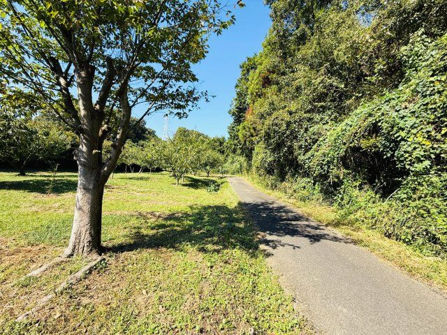 東松山市葛袋　土地957坪の前面道路含む現地写真|南側約1.8ｍ公道に約45ｍ接道