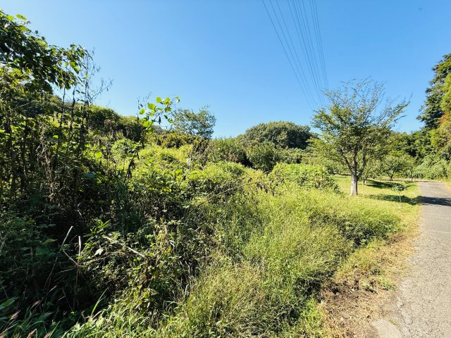 東松山市葛袋　土地957坪の外観|向かい側