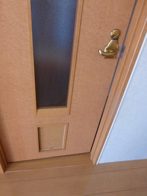 【設備】 | ベルジェⅡ