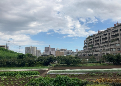 【展望】 | プリシード本厚木 | 眺望の良さを楽しめるダイニングキッチンで家族団らんの時間を過ごしてはいかがでしょうか。バルコニーから見える景色を家族で眺める時間は、時間が経つのを忘れてしまいそうですね。是非、現地を見に行きましょう！