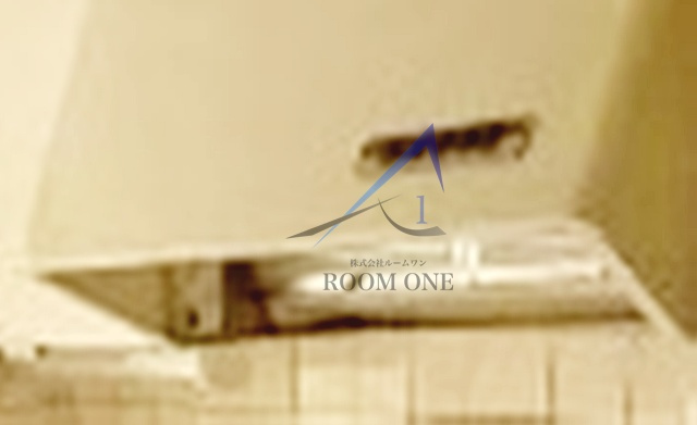 フィオーレのその他