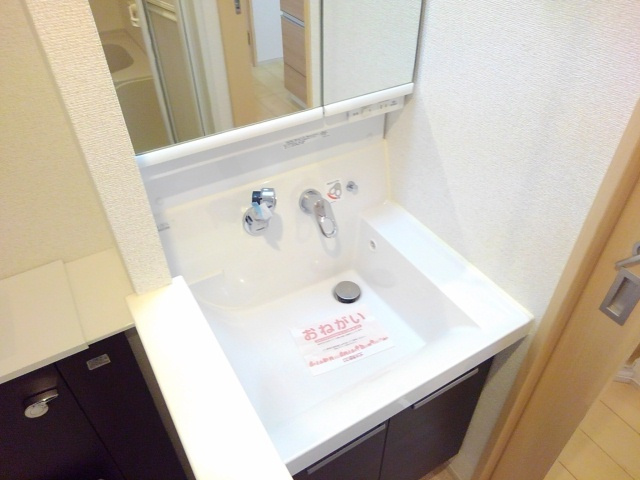 ピュアメゾン正雀の洗面所