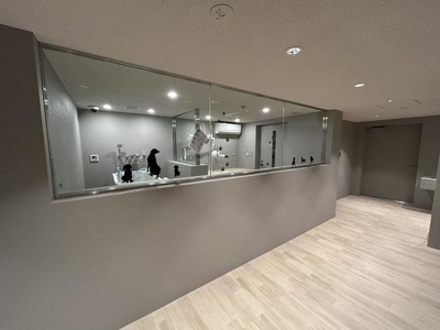 【その他共用部分】 | ブランシエスタ西馬込 | グルーミングルーム