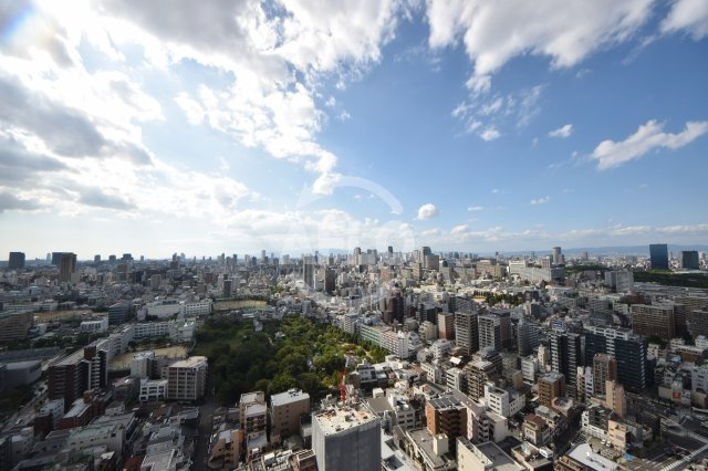 シティタワー天王寺真田山　真田山小学校区の展望|シティタワー天王寺真田山　眺望