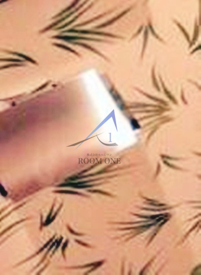 ＡＺＥＳＴ　志村三丁目Ⅱ