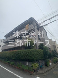 グレースパピヨンの画像
