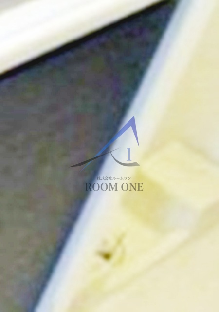 ハーモニーレジデンス東京ウエストの設備|洗濯機置き場です。