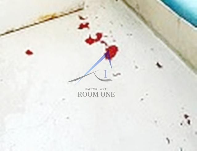 ルミエール高輪のバルコニー|バルコニーです。