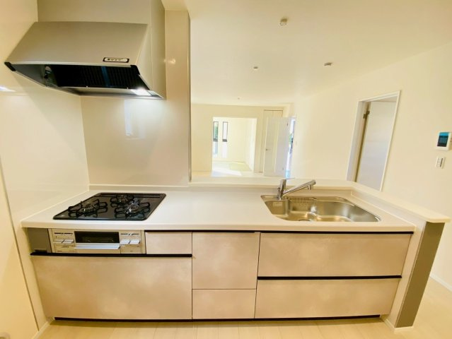 リーブルガーデン／菊陽町原水第三／１号棟のキッチン