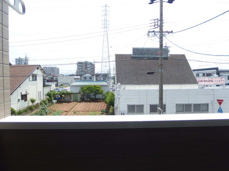 Camellia（カメリア）の展望