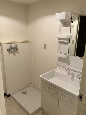 ロイヤルメゾン雪谷の洗面所