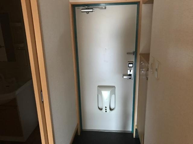 サイネリア－ＫⅠの玄関|玄関