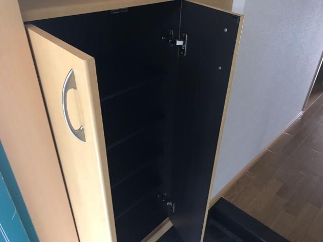 サイネリア－ＫⅠの玄関|玄関