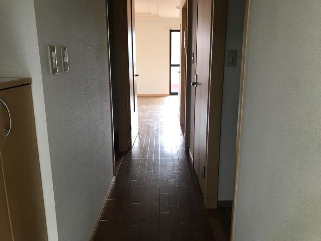 サイネリア－ＫⅠの内装|廊下