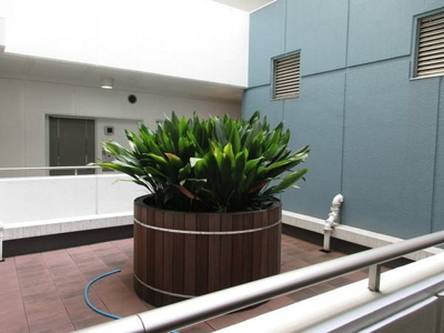 【その他共用部分】 | ルシマン月島