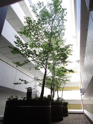 【その他共用部分】 | ルシマン月島