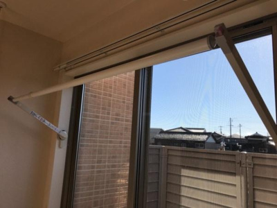 【その他】 | マリーゴールド