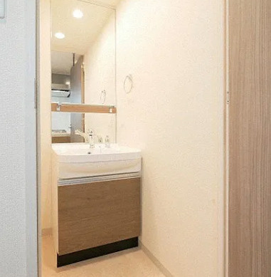 プレサンス松屋町駅前デュオの独立洗面台