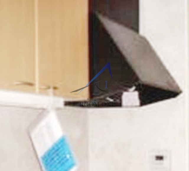 シーノイエのその他