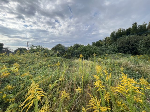 松橋町萩尾　売り土地の外観