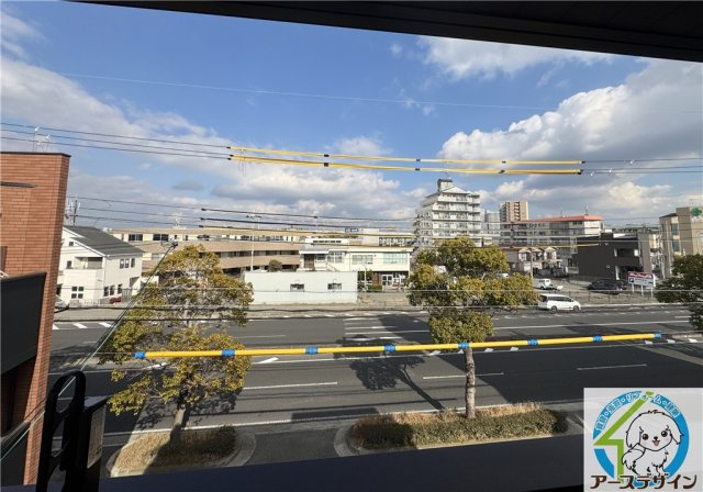 ハレレアの展望