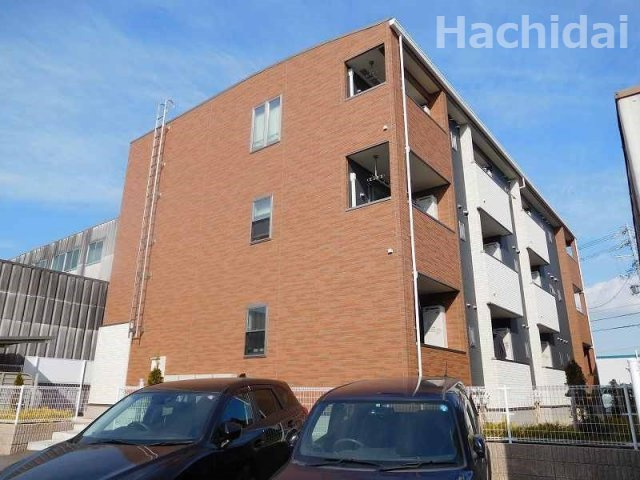 クリサンセマムの外観