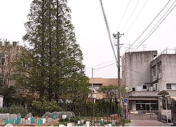 クリサンセマムの周辺|吉浜小学校まで1500m