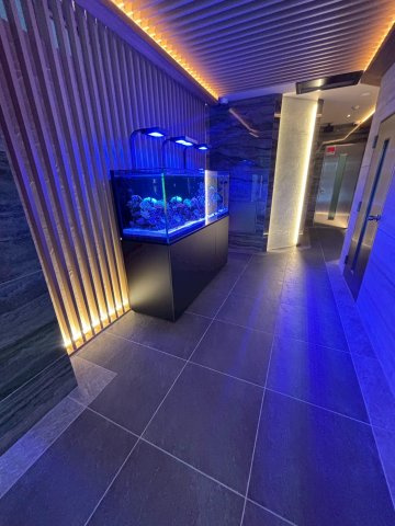 The Lucent 大阪中央のエントランス