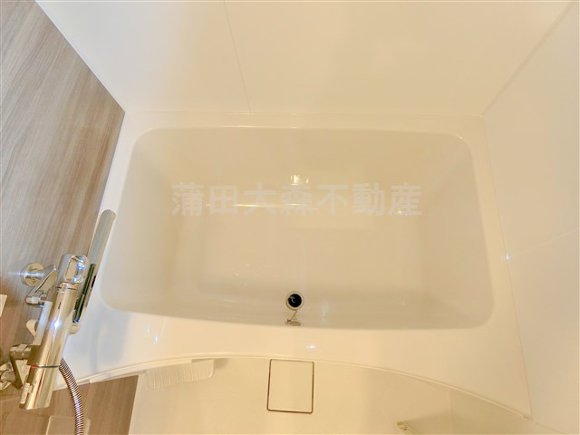 レジディア蒲田プレイスの浴室