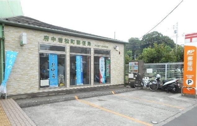 パストラール　ベルダのその他|若松町郵便局まで300m