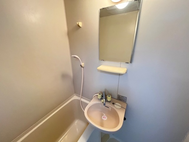 フジメゾンコートの洗面所