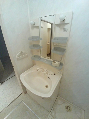 【洗面所】 | パークハウス （D-ROOM） | ※別号室参考写真