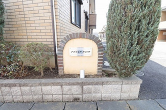 【その他】 | アグライア アリッサ