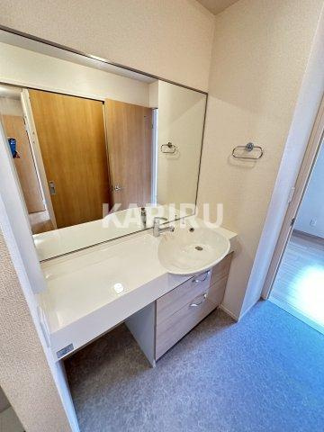 グリーンコートの洗面所