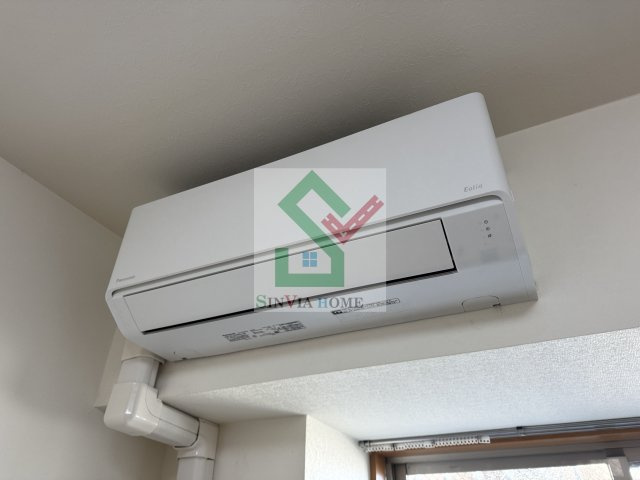 ロイヤルモナークのその他