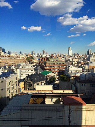 パークハウス下馬一丁目の展望