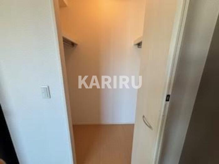 ハナミズキの収納