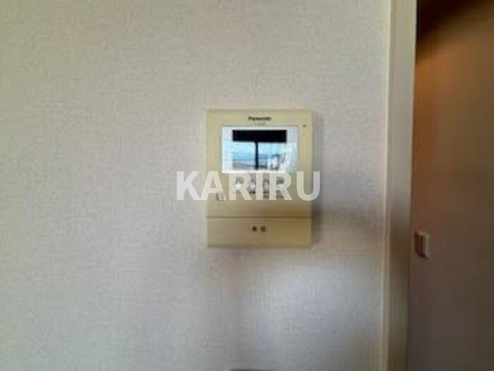 ハナミズキのセキュリティ