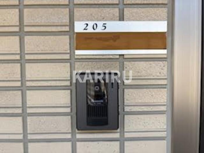 ハナミズキのその他