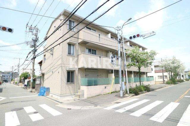 ハナミズキの外観