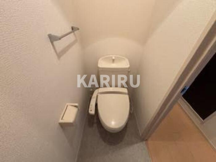 ハナミズキのトイレ