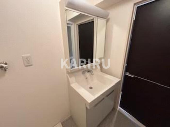 ハナミズキの洗面所