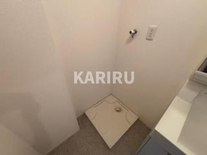 ハナミズキのその他