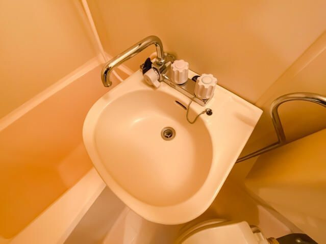 スカイコート南砂町の洗面所