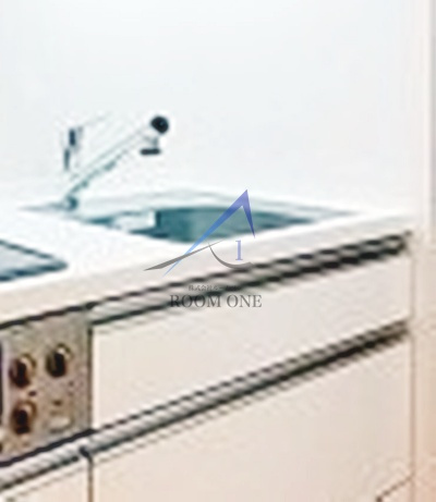 ルミアージュ飛鳥山公園