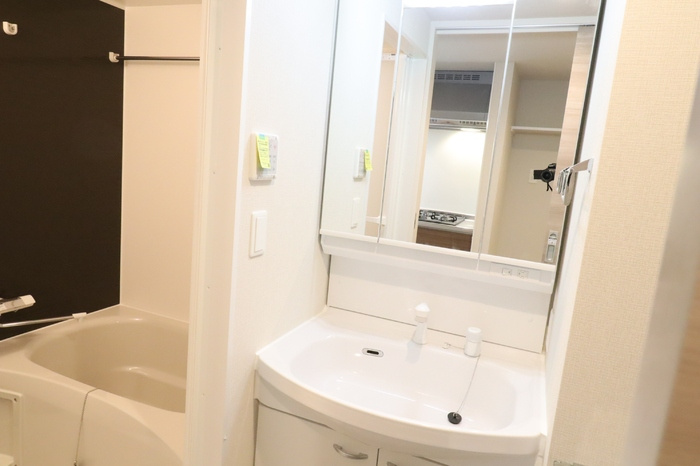 イーストサイドレジデンスの洗面所