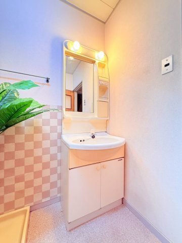 エクリート朝霧の洗面所