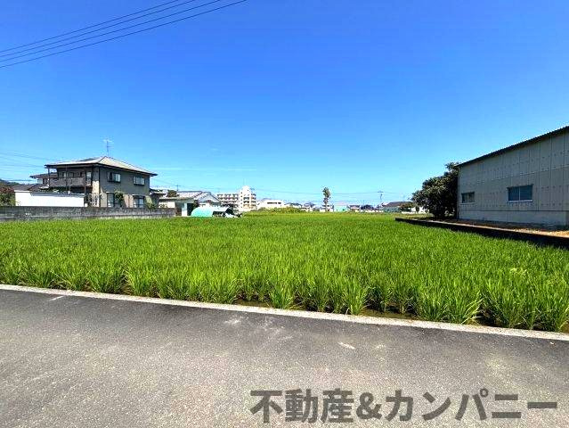 太山寺町のおトチ　松山市太山寺町売土地